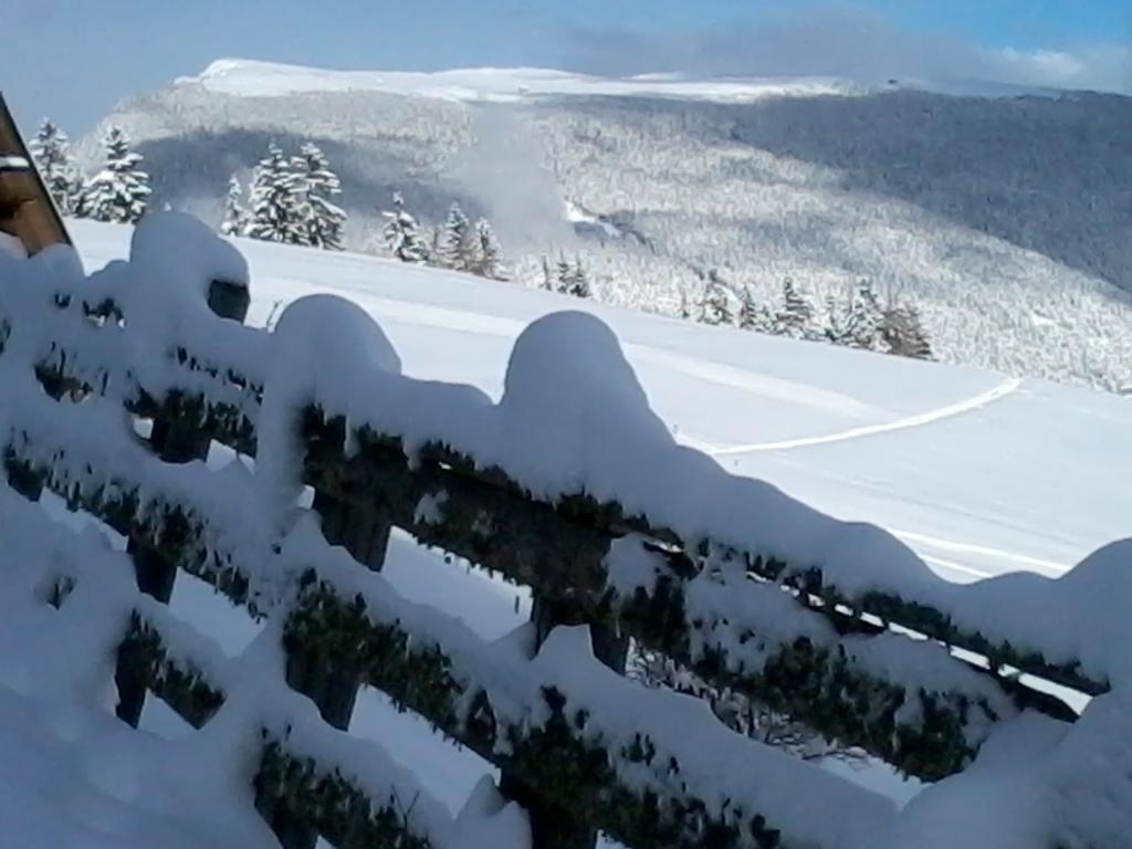 Garni Kostner Ortisei Exterior foto
